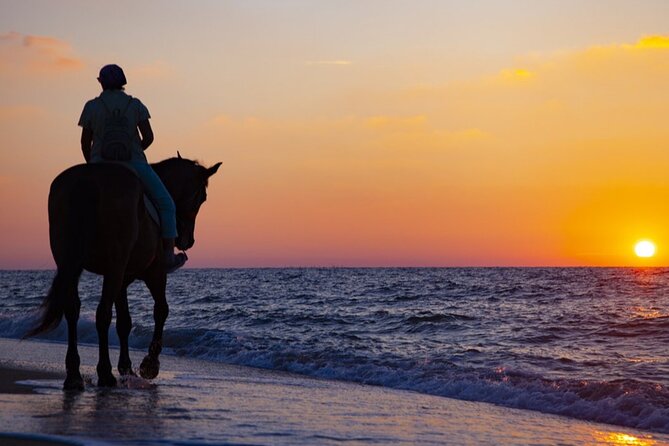 Antalya Horse Riding On Beach And Through The Forests For 2 Hours - Price and time value, what you are actually buying