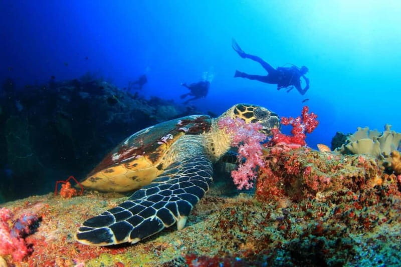 Antalya/Kemer: Scuba Diving Experience with 2 Dives & Lunch - First Steps on the Boat in Kemer (and Why the Meeting Point Matters)