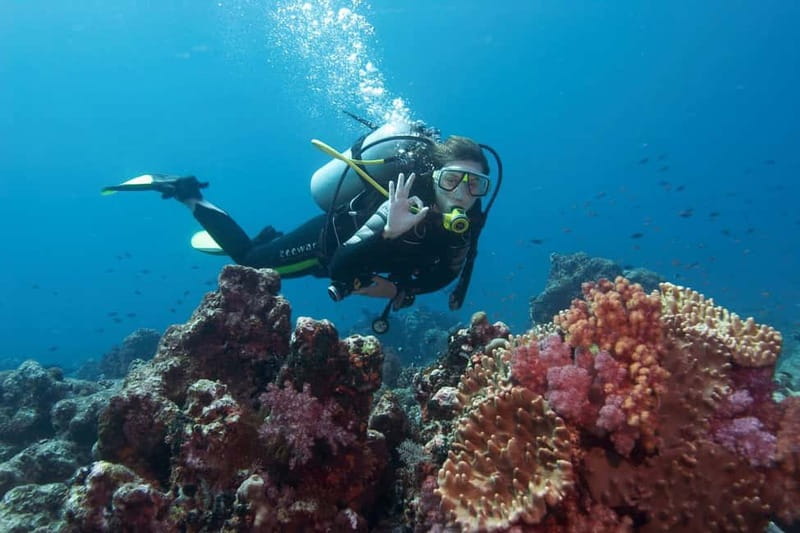 Antalya/Kemer: Scuba Diving Experience with 2 Dives & Lunch - Kiris Lunch on the Boat, Plus Snorkeling Time to Reset