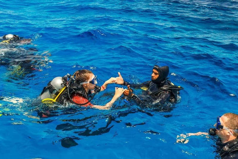 Antalya/Kemer: Scuba Diving Experience with 2 Dives & Lunch - What You Might See: Fish, Cephalopods, and the Occasional Big Surprise