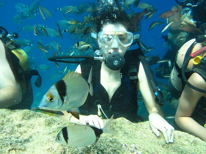 Antalya/Kemer: Scuba Diving Experience with Lunch & Pick up - Key things I’d focus on