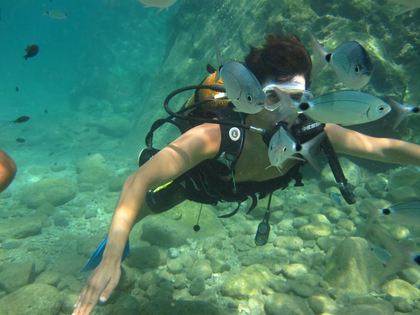 Antalya/Kemer: Scuba Diving Experience with Lunch & Pick up - Aquarium Bay and Kiris Bay: the Mediterranean views you’re really paying for