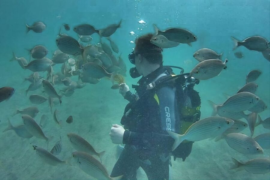Antalya/Kemer: Scuba Diving Experience with Lunch & Pick up - Aquarium Bay session: hands-on fish time at around 5 meters