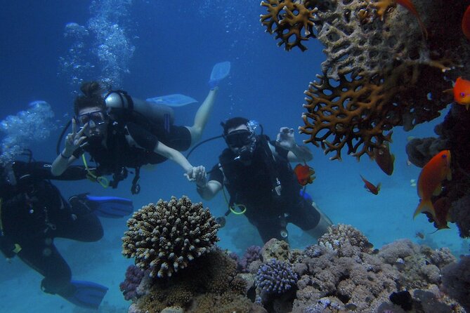 Antalya/Kemer Scuba Diving with Pickup, Lunch, and 2 Dives - Key Points at a Glance