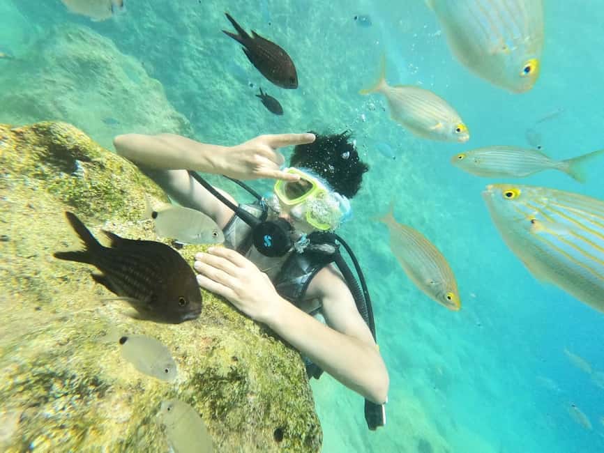 Antalya Scuba Diving Adventure w/Private Expert Diver Option - Kemer’s Aquarium Bay and Kiris Bay: two underwater stops, clear plans