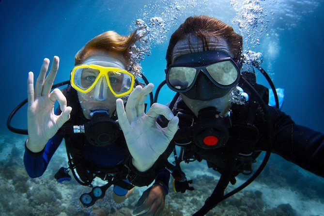 Antalya Scuba Diving at Mediterranean Sea incl. Lunch - Key Highlights Worth Your Attention
