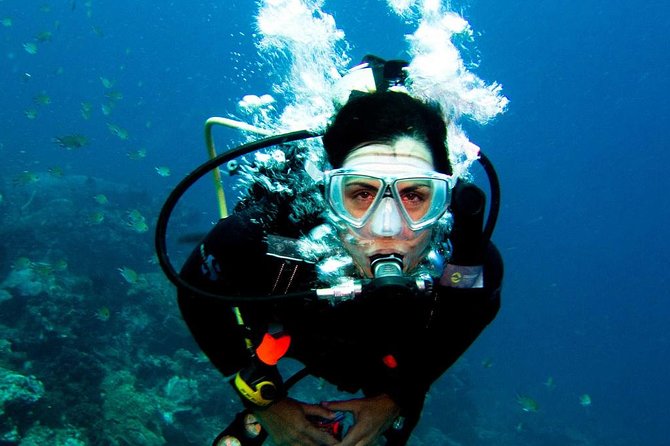 Antalya Scuba Diving at Mediterranean Sea incl. Lunch - Group Size, Comfort, and Heat: The Stuff That Can Make or Break the Day