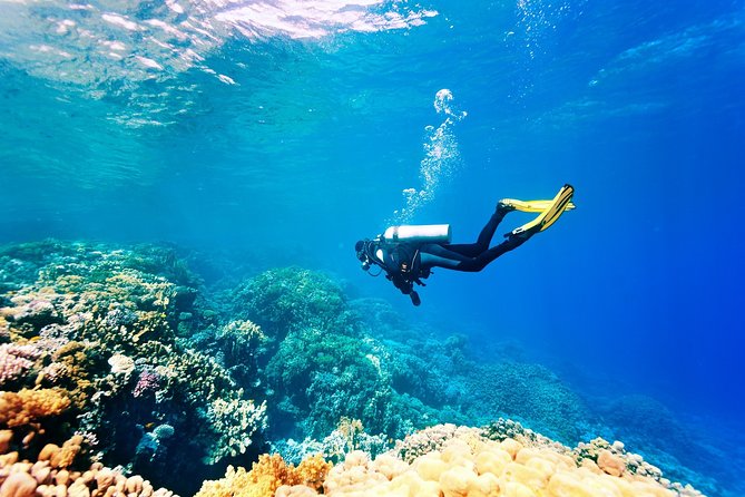Antalya Scuba Diving at Mediterranean Sea incl. Lunch - Tekirova, Phaselis Koyu, and Kemer: How the Day Flows Between Underwater Sessions