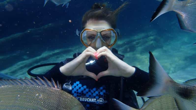 Antalya Scuba Diving Tour, With Lunch & Return Transfers - Two underwater sessions at 5-10 metres: what this actually means