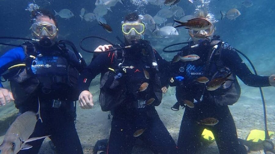 Antalya Scuba Diving Tour, With Lunch & Return Transfers - Equipment and English guidance: the part that affects your comfort