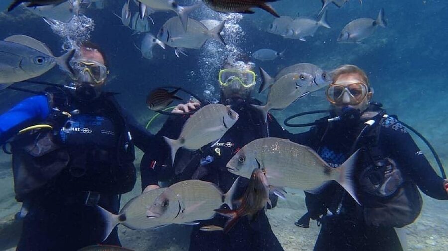 Antalya Scuba Diving Tour, With Lunch & Return Transfers - Comfort, clothing, and transfer tips that make the day smoother