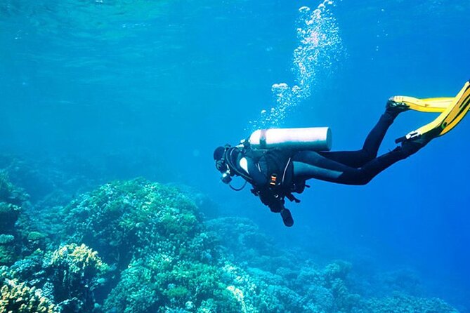 Antalya Scuba Diving With Transfer From Belek,Lara,Kemer Hotels - On the Boat: Gear, Safety Signals, and Your Two Underwater Sessions