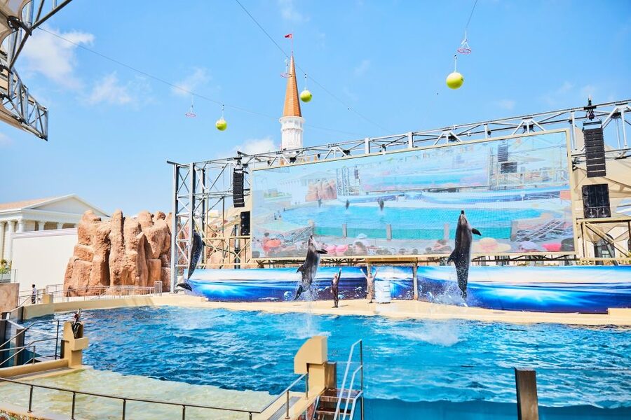 Antalya: The Land Of Legends Ticket Theme Park w/ Transfer - Waterfront Kingdom: aquarium vibes plus dolphin, beluga, and walrus shows