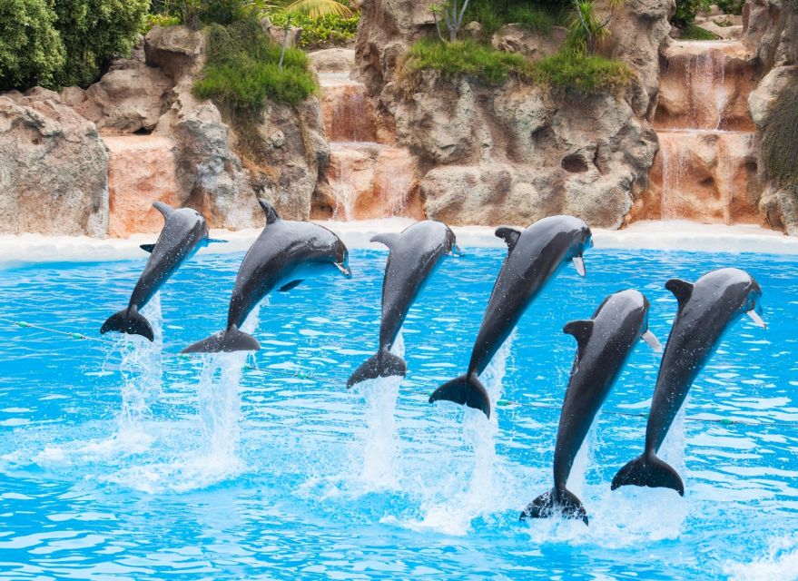 Antalya: The Land Of Legends Ticket Theme Park w/ Transfer - What to pack, how to time your day, and how to handle crowds