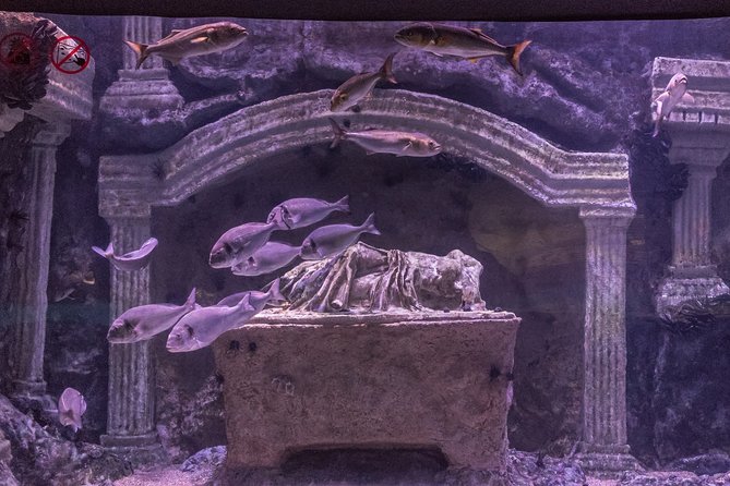 Belek: Antalya Aquarium Ticket With Optional Transfer - Group size and pacing: why 27 matters