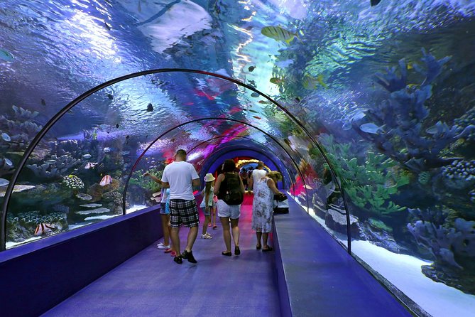 Belek: Antalya Aquarium Ticket With Optional Transfer - Who should book this (and who might skip it)
