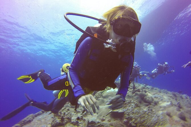 Belek Scuba Diving Experience (2 Dives) With Lunch - Belek hotel pickup to the harbor, minus the stress