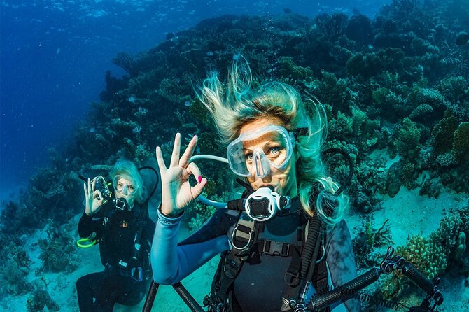 Belek Scuba Diving Experience (2 Dives) With Lunch - Timing, group size (up to 40), and weather reality