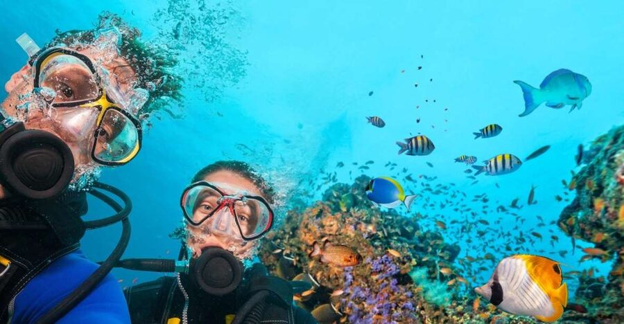 Belek: Scuba Diving in the Mediterranean Sea - Belek To The Harbor: The real story of your 10 hours