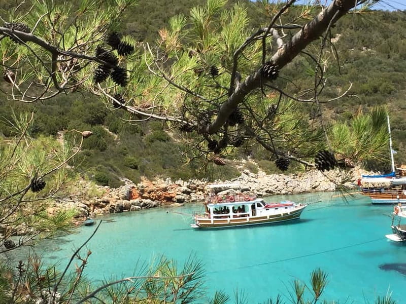 Bodrum: Boat Tour for Mein Schiff and Aida Cruise Passengers - Price and Drinks: Where the $41 Works Best