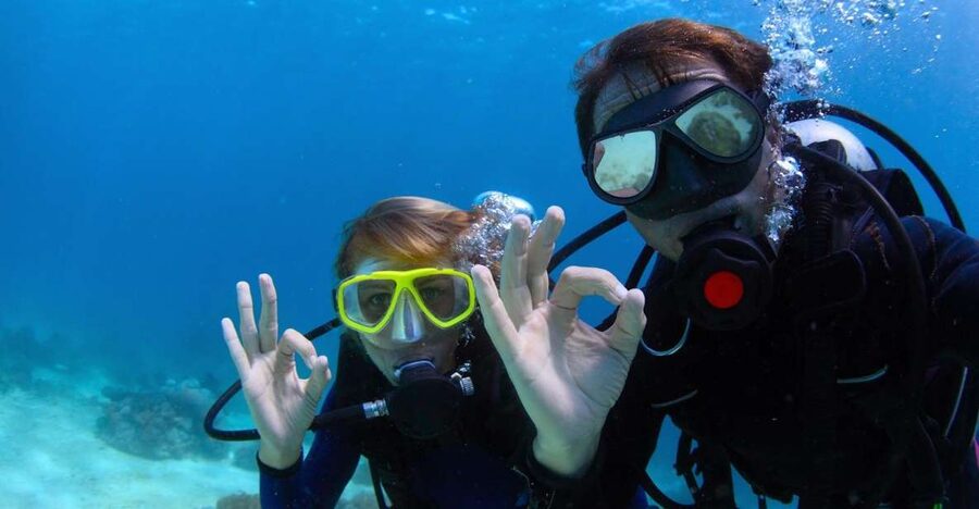 Bodrum: Full-Day Scuba Diving Tour - Why Bodrum’s water makes a one-day scuba trip feel easy