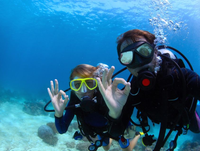 Bodrum: Full-Day Scuba Diving Tour - Caverns at 12 meters and 6 meters: bubble cavern and deep-blue walls