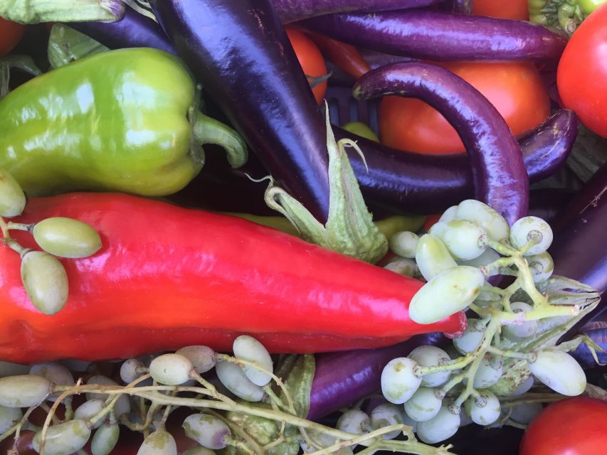 Bodrum: Market Visit and Cooking Class - Key things to look forward to