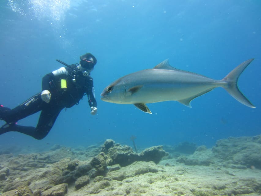 Bodrum: Scuba Diving Trip with Lunch - Timing: the trip is listed as 5 hours, but sometimes runs shorter