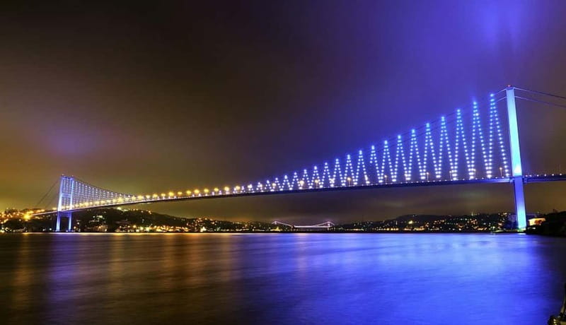 Bosphorus Dinner Cruise & Turkish Night with Live Shows - Value check: what $29 gets you in Istanbul at night
