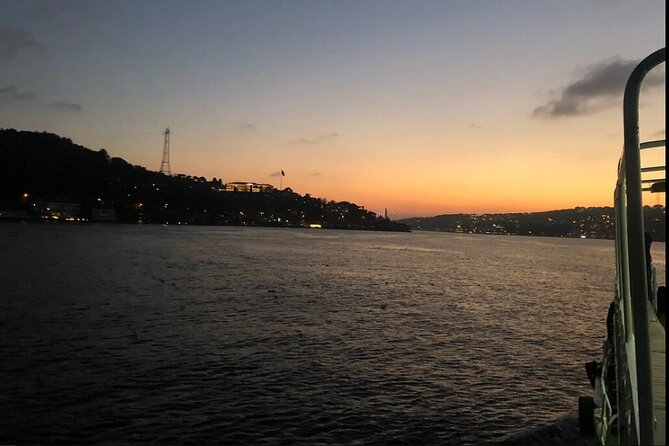Bosphorus Explorer: 3-Hour Cruise with Asian Side Visit - Dolmabahçe section: mosques, a palace exterior, and pure Bosphorus drama