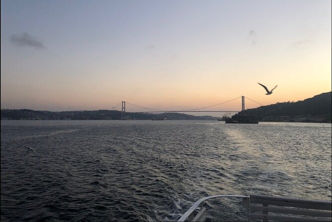 Bosphorus Explorer: 3-Hour Cruise with Asian Side Visit - The Asian-side stop: Beylerbeyi Palace area and free time for photos