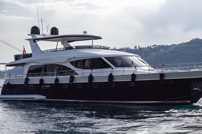 Bosphorus Yacht Cruise Experience: Visit the Asian Side - The part people debate: how close are Blue Mosque, Hagia Sophia, and Topkapi?