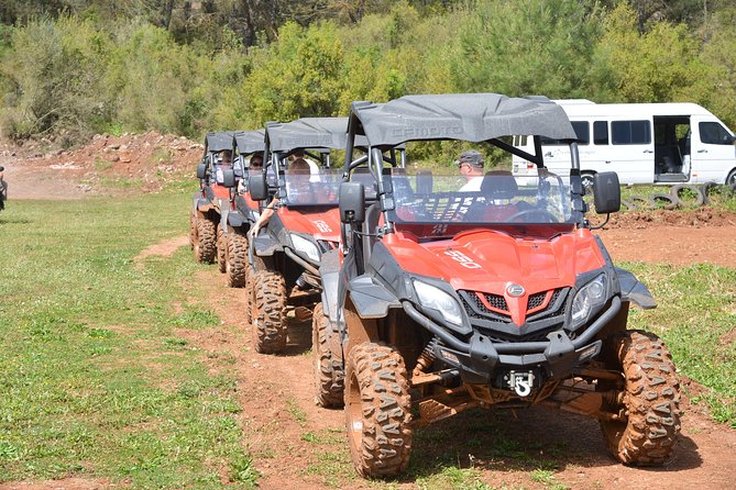 Buggy Safari for 2 people - Morning vs Afternoon Departure: Choosing the Right Pace for Your Day