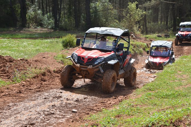 Buggy Safari for 2 people - Price and Value: What $180.23 Gets You for Two