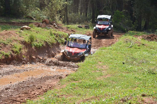 Buggy Safari for 2 people - Who Should Book This Buggy Safari, and Who Might Not Love It