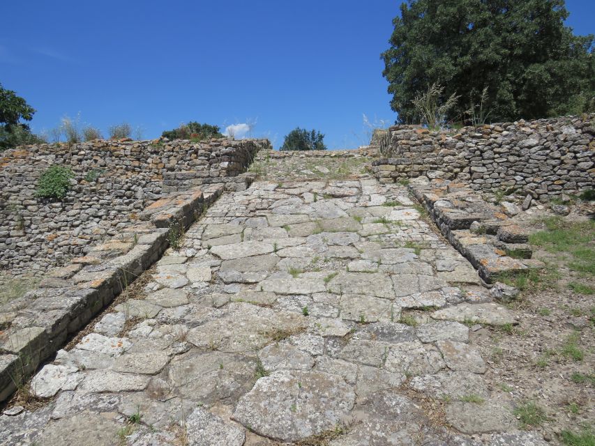 Canakkale: Full-Day Troy and Gallipoli Tour - Why the guides matter more than the map