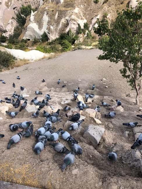 Cappadocia 1 or 2 Day Private Tour - Fairy-Chimney Photo Stops: Urgup, Devrent, Monk’s Valley