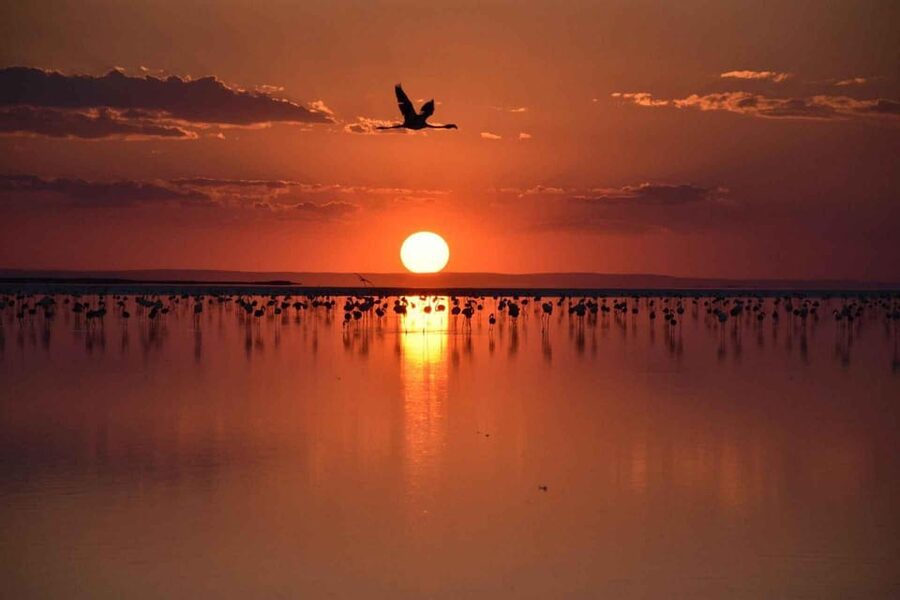 Cappadocia Amazing Sunset Tour To Salt Lake - Sunset sky and flamingos: what to look for during that 3-hour window