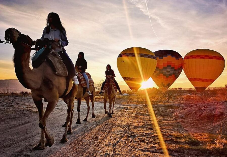 Cappadocia: Camel Safari - Price and value for a short Cappadocia activity