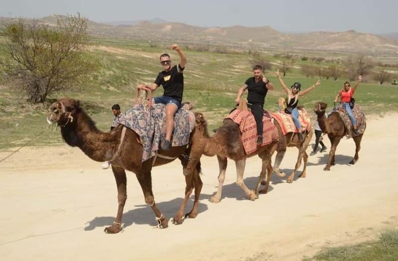 Cappadocia: Camel Safari Tour with Transfer - Price and Value: What $60 Per Person Gets You