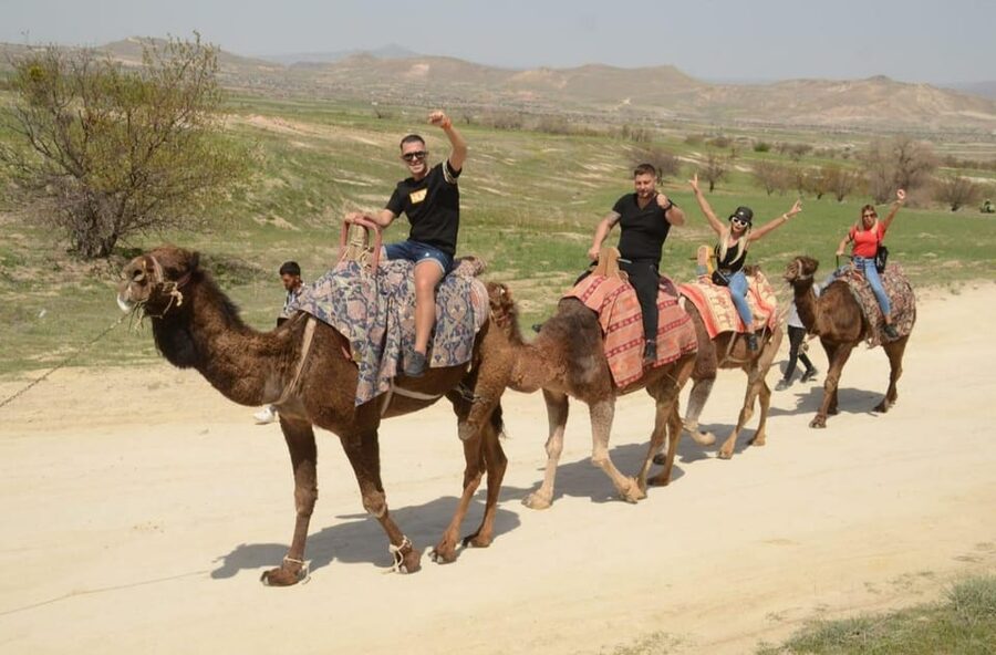 Cappadocia: Camel Safari Tour with Transfer - Who This Camel Safari Is Best For (And Who Should Think Twice)