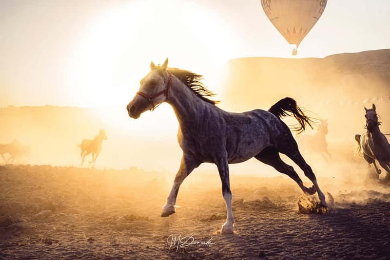 Cappadocia: Fascinating Horse Tour in Göreme Valleys - The Start: Orientation, Helmet, and Getting Comfortable