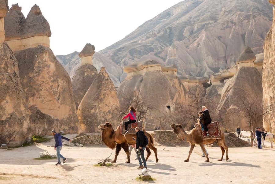 Cappadocia Full Day Daily Tour (Lunch and Ticket Included) - Devrent Valley and Göreme Panorama: shapes that make you see differently