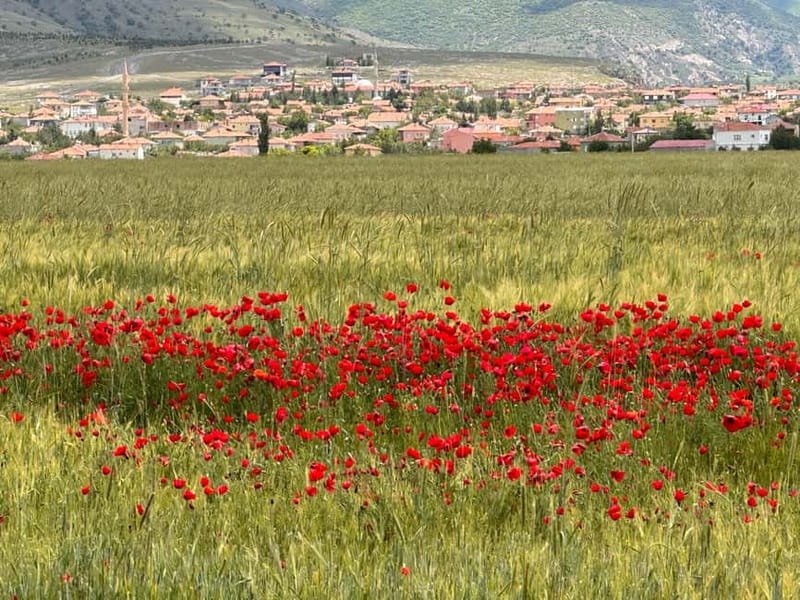 Cappadocia: Green Tour with Derinkuyu Underground City - Price and value: why $76 can feel fair here
