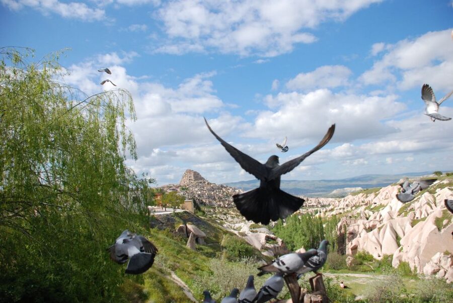 Cappadocia: Highlights Tour with Lunch and Entry Tickets - The real value: guides, pacing, and how the day feels