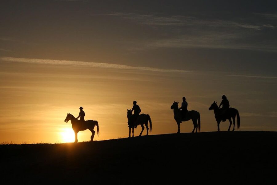 Cappadocia: Horse Riding Tour Sunset or Day Time with Pickup - Sunset or Daytime: How to Pick Your Timing