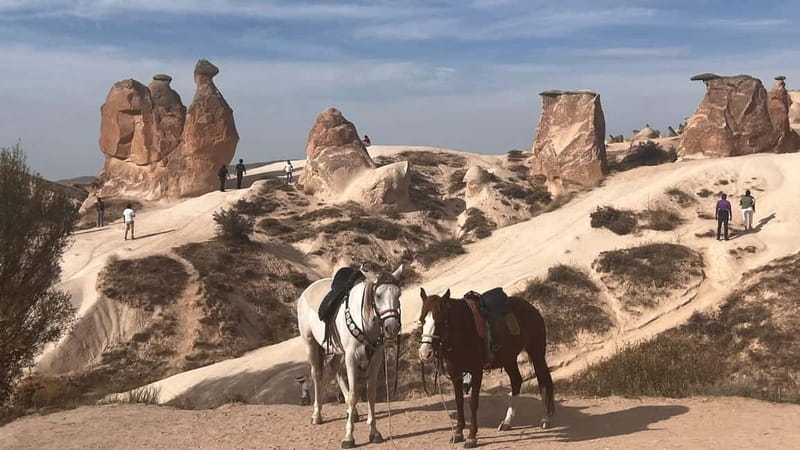 Cappadocia Private Combined Tour with Lunch - Zelve Open Air Museum and Paşabağ: cave life plus the best fairy chimneys