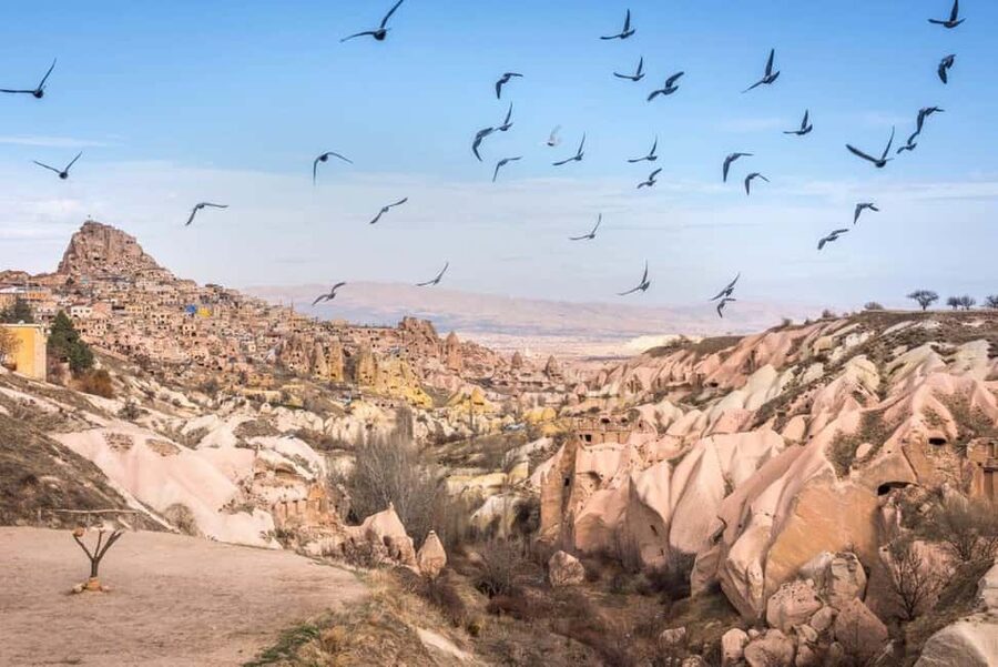 Cappadocia: Red and Green Combined Tour - Paşabağ (Monk’s Valley): the fairy chimney lineup