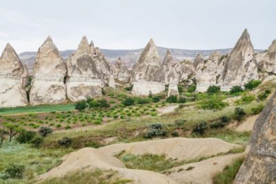 Sunset or Daytime ATV Adventure Tour