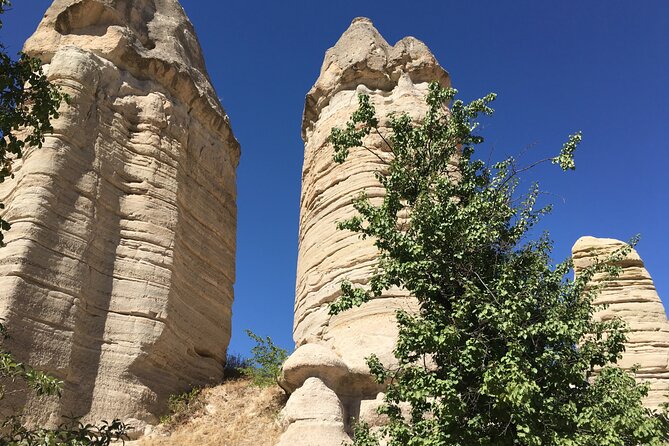 Cappadocia Wine Tasting Experience - The grapes and what to expect from each sip